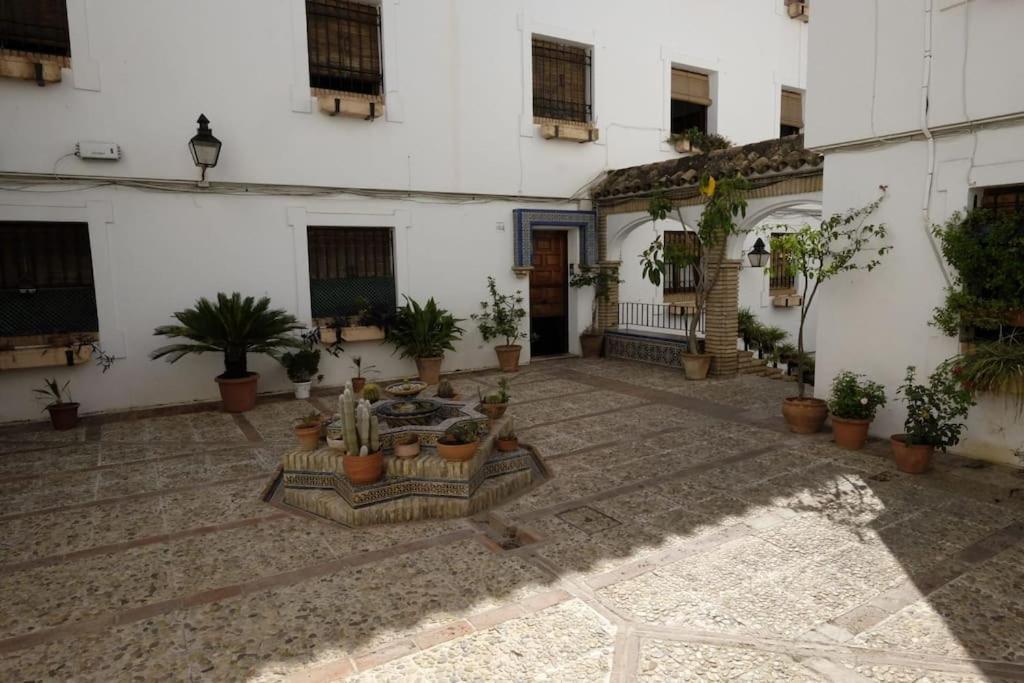 Medina Paradise Κόρδοβα Εξωτερικό φωτογραφία